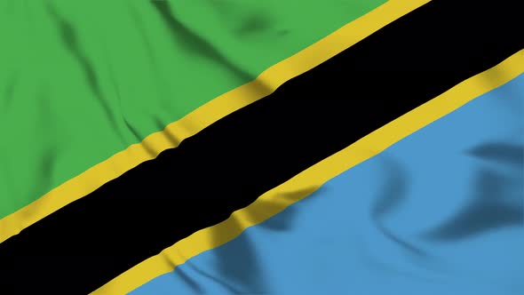 4K Tanzania Flag - Loopable