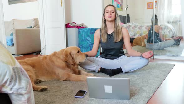 Golden retriever assisting woman meditating in front of laptop, Milan, Italy