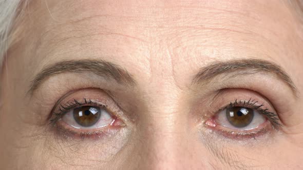 Brown Eyes of Mature Woman Close Up alt