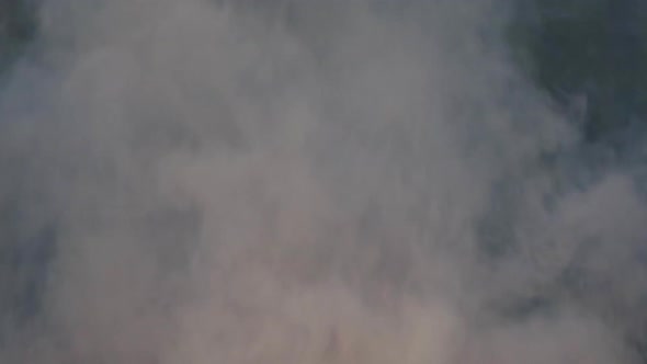 Close Up View on Thick Smoke From Wild Fire or Forest Fire alt