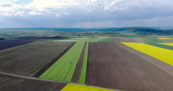 Agricultural Field With Yellow Spring Rapeseed alt