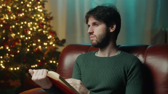 Reading A Book In Christmas Mood alt