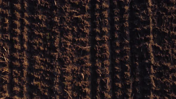 Vertical shot with a drone of a plowed field at sunset