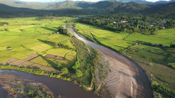 Aerial view of paddy field or rice terrace and the river in northern of Thailand by drone