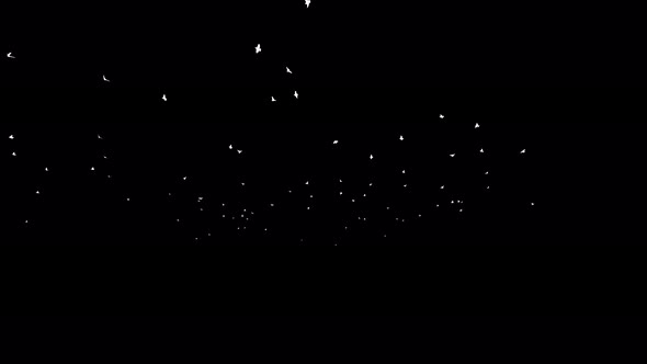 4K Sparrow Silhouettes alt