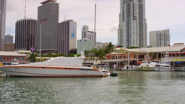 Yachts and boats in the marina alt