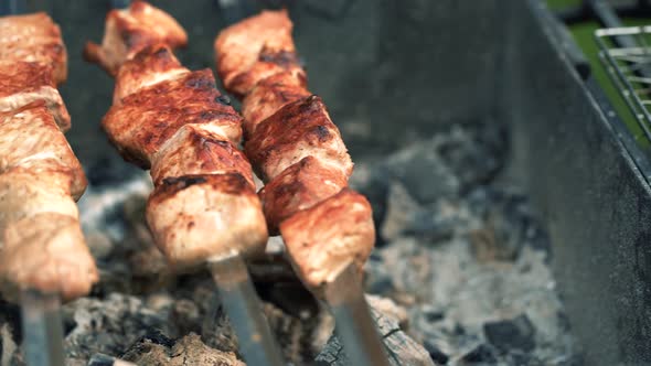 Barbecue on Open Air. Preparation of Meat on The Grill