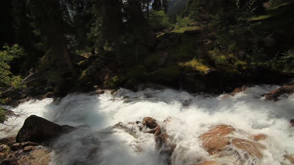 Mountain River in the Forest Close Up. Summer alt
