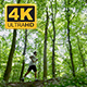 Young Man In Sportswear Running Through Trees - VideoHive Item for Sale