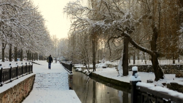 Casual Passers Walking In Beautiful Park