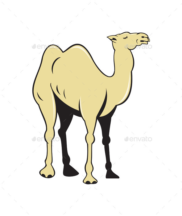 Camel Side View Cartoon - Animals Characters