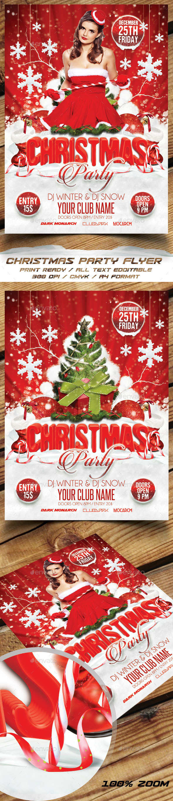 Christmas Party Flyer - Holidays Events