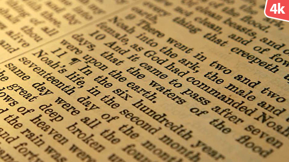 Old Holy Bible 124 alt