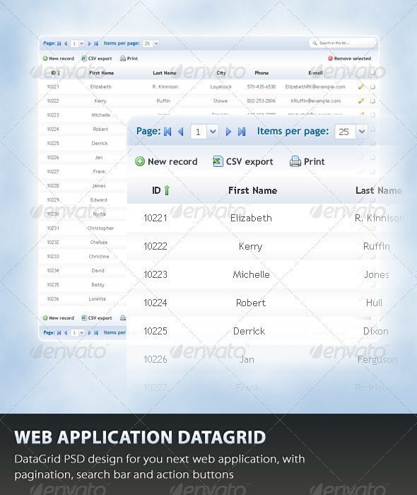 Web Application Datagrid - Tables Web Elements