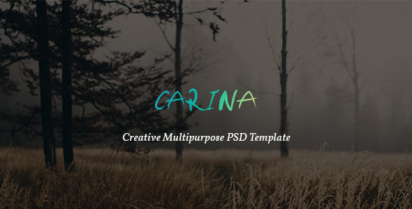 Carina - Creative Multipurpose PSD Template - Corporate PSD Templates