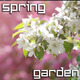Spring Blooming Garden Spring Blooming Garden - VideoHive Item for Sale