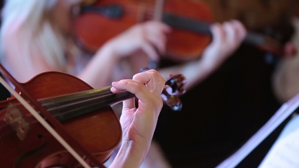 Woman Playing The Violin alt