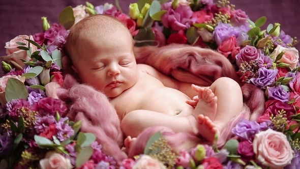 Cute Newborn Baby Girl Sleeping In Flowers 