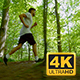 Young Man In Sportswear Running Through Trees - VideoHive Item for Sale