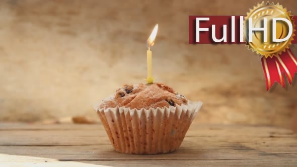 Tasty Birthday Cupcake With Candle