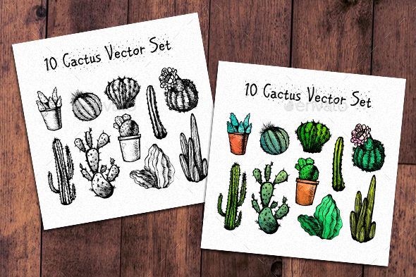 10 Hand Drawn Cactuses - Flowers & Plants Nature