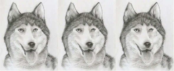 Manual sketch