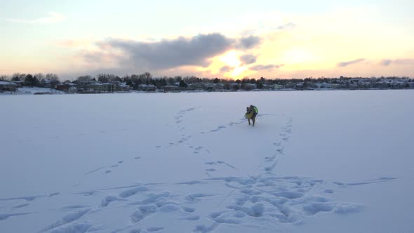 Playful Dog On Frozen Lake