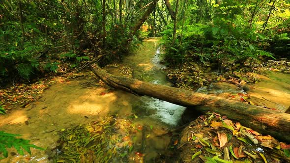 Wonderful Waterfall In Thailand 2 alt