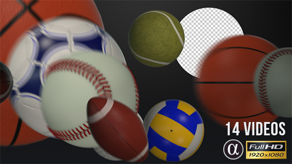 Sport Balls Transition - 14 Pack