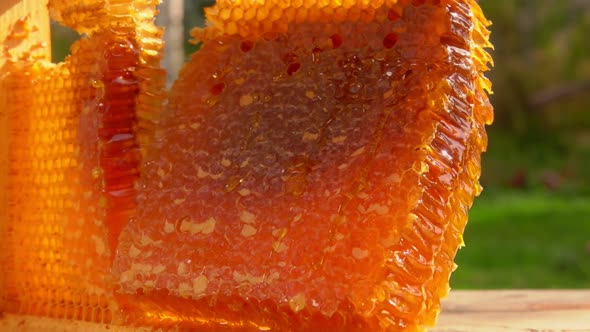 Part of the Delicious Fresh Honeycombs is Taken From the Wooden Frame alt