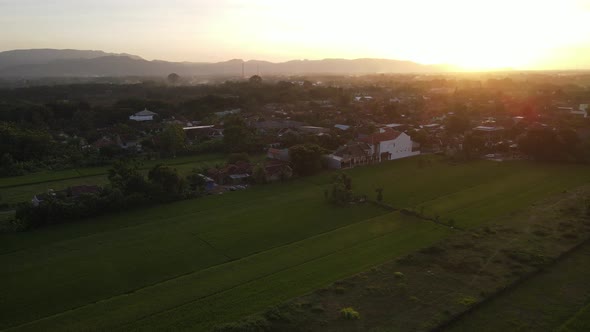 Aerial view of sunset in village in Indonesia with rice field and house alt