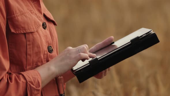 Caucasian Agronomist checking the field of cereals and sends data to the cloud from the tablet. alt