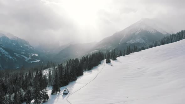 Foggy Morning Over the Mountains and Evergreen Forest Near the Wide Field Covered in Snow alt