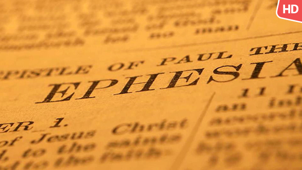 Old Holy Bible 98 alt