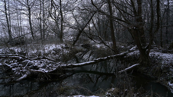 River Flowing through Winter Forest 