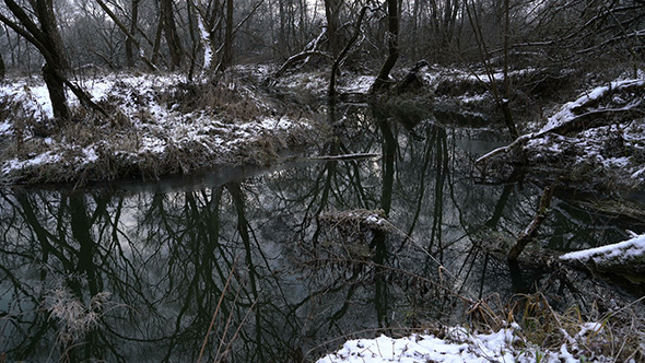 River Flowing through Winter Forest 