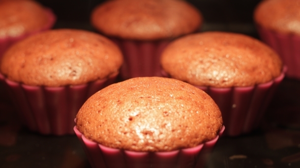 Cupcakes Baking In The Oven