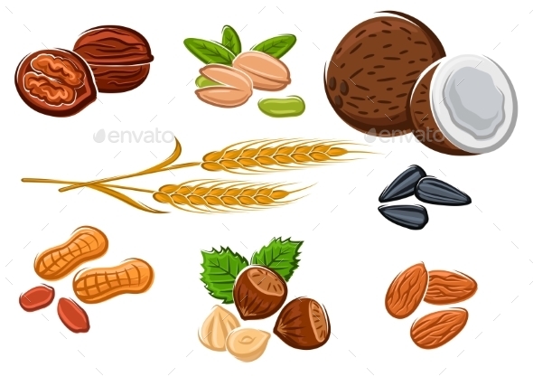 Nuts, Sunflower Seeds And Wheat Ears - Food Objects