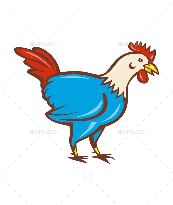 Chicken Rooster Side Cartoon - Animals Characters