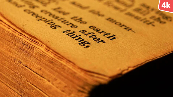 Old Holy Bible 145 alt