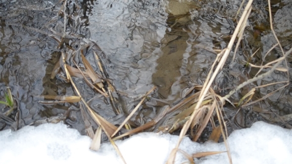 Surface Of Flickering Water In Brook With Melting