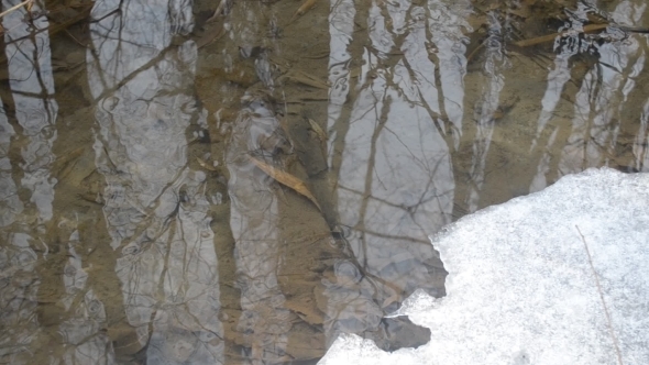 Water Surface In Brook With Melting Ice In Spring