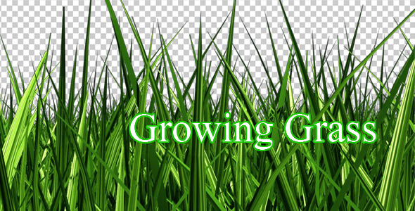 Growing Grass