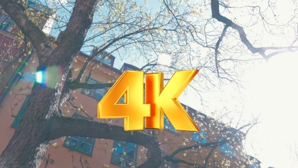 Street Scene With Old House, Tree And Bright alt