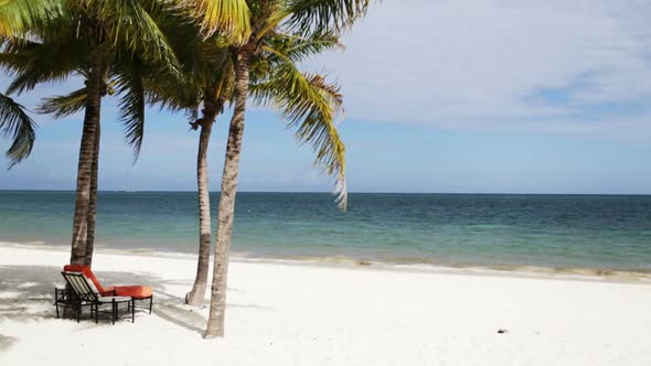 Tropical Beach With Palm Trees And Lounge 3 alt