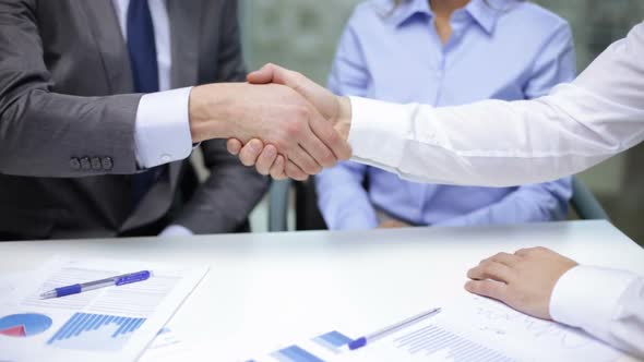 Two Businessmen Shaking Their Hands 5 alt