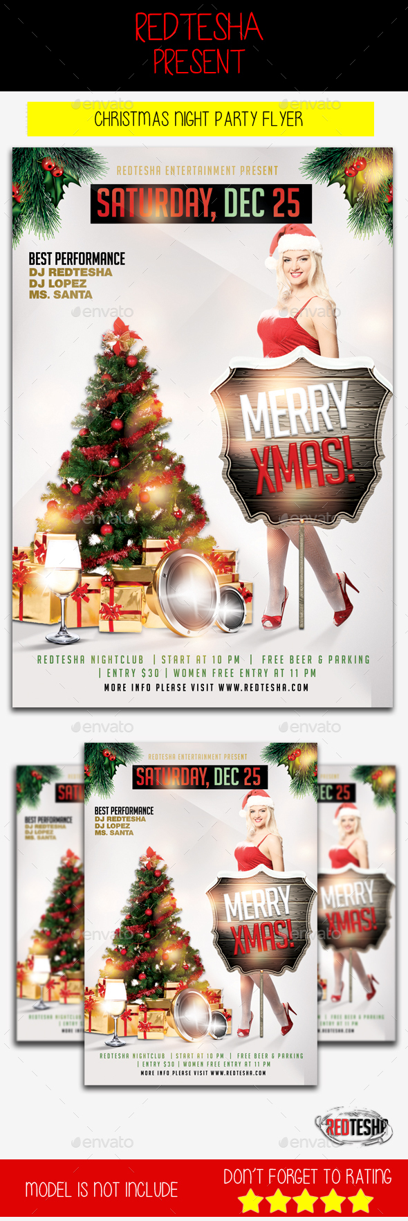 Christmas Night Party Flyer