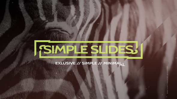 Simple Slides Project - VideoHive 13990068