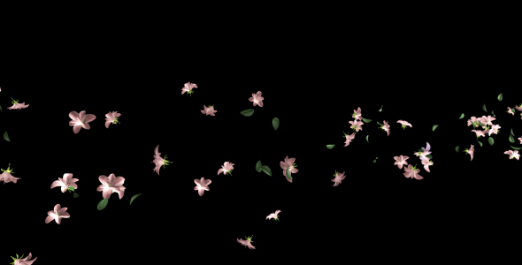 Flying Flowers(60 FPS)