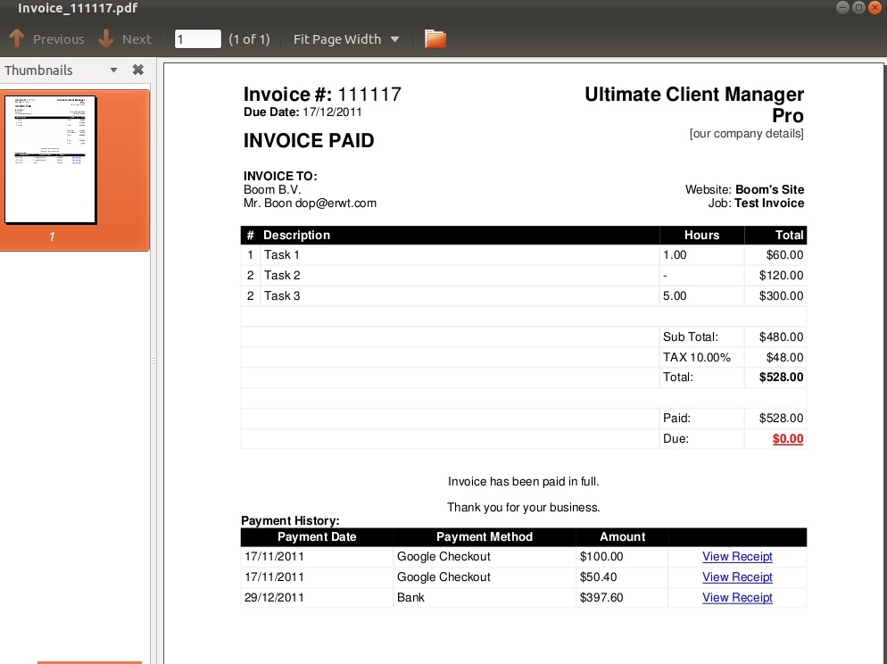 pdf invoice sample